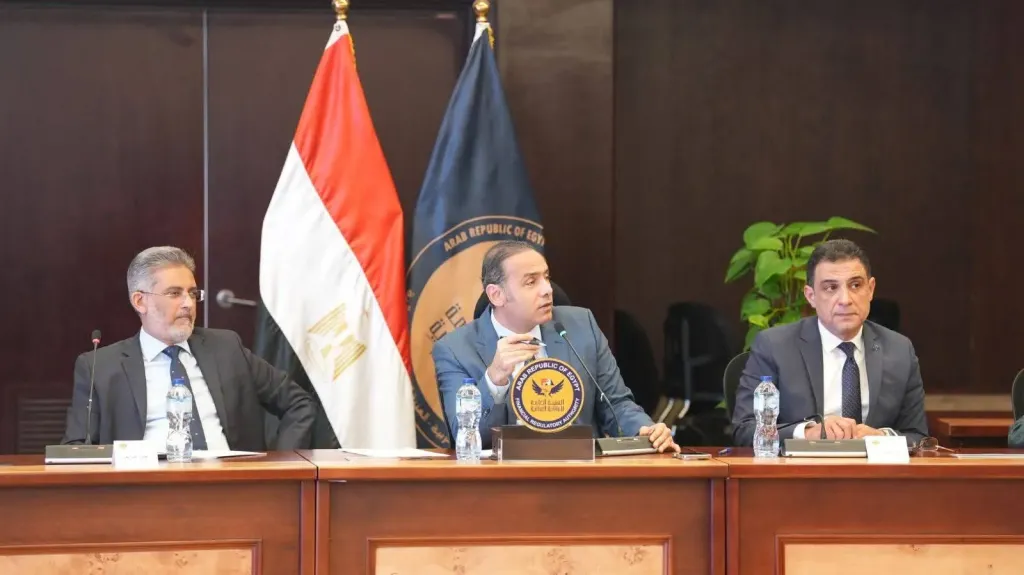 رئيس هيئة الرقابة المالية يبحث مع الخبراء الإكتواريين سبل النهوض بالنشاط وزيادة أعداد الممارسين