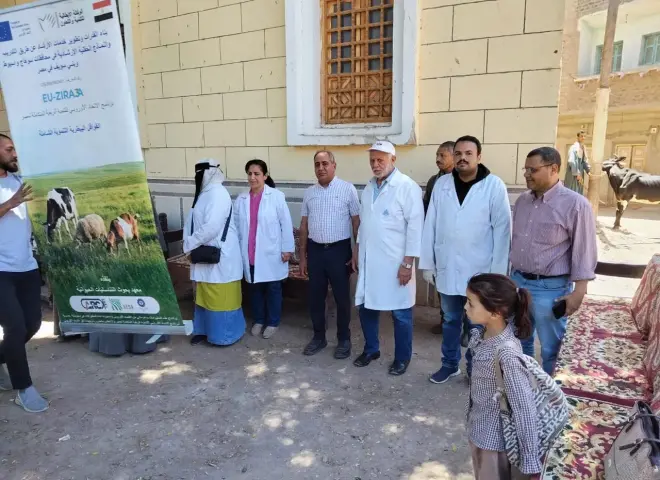 الزراعة: فحص وعلاج 1862 رأس ماشية وتقديم خدمات بيطرية مجانية لصغار المربين في قرى أسيوط