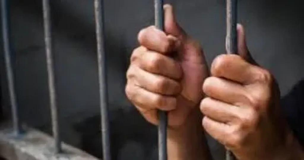 محكمة جنايات بورسعيد: السجن المؤبد لقاتل شاب بسلاح ناري