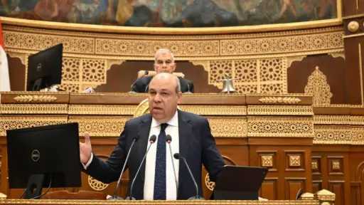 وزير الطيران المدني: نستهدف زيادة أسطول مصر للطيران بنحو 28 طائرة جديدة خلال عامي 2026 و2027
