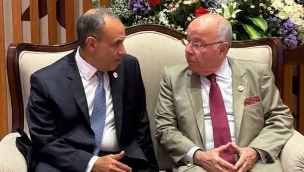 وزير الخارجية يلتقي نظيره البرازيلي لبحث سبل تعزيز التعاون
