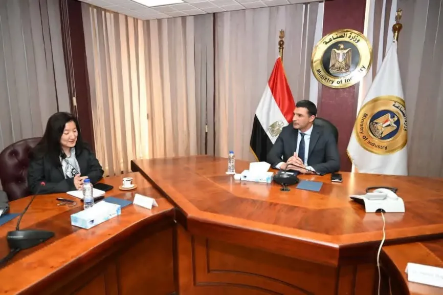 وزير الصناعة يبحث مع الممثلة المقيمة لبرنامج الأمم المتحدة الإنمائي في مصر تعزيز التعاون المشترك في التحول الأخضر
