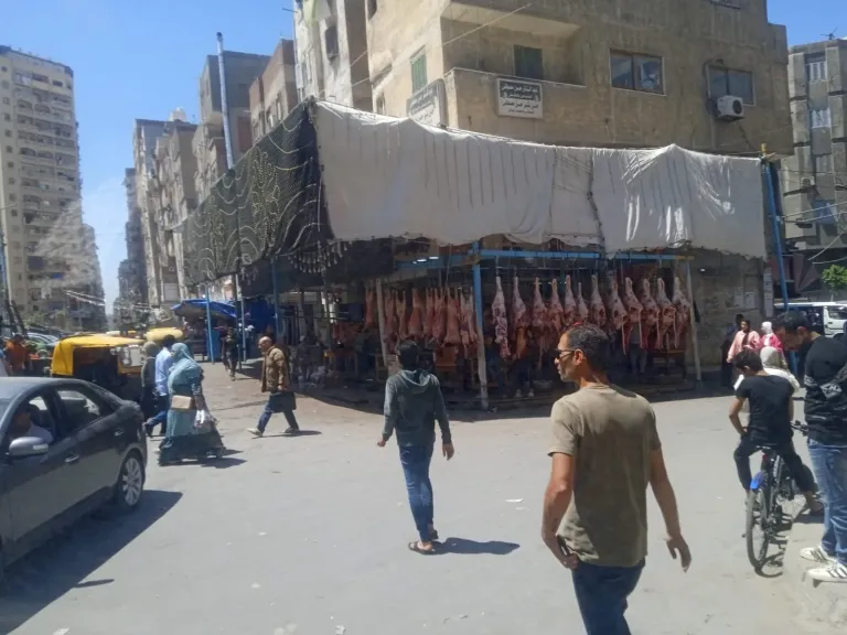 محافظة الإسكندرية تُزيل شادرًا مخالفًا بمنطقة الفلكي وتُعيد فتح الطريق أمام المواطنين