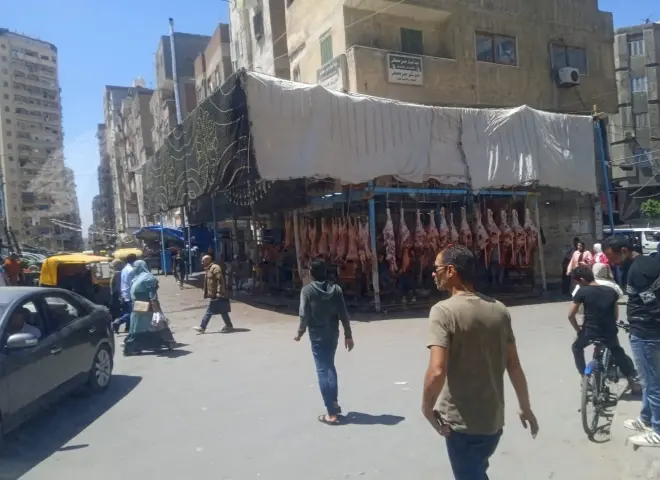 محافظة الإسكندرية تُزيل شادرًا مخالفًا بمنطقة الفلكي وتُعيد فتح الطريق أمام المواطنين