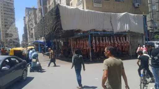 محافظة الإسكندرية تُزيل شادرًا مخالفًا بمنطقة الفلكي وتُعيد فتح الطريق أمام المواطنين