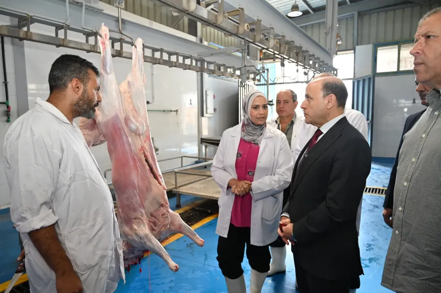 قبل ساعات من استقبال الأضاحي.. محافظ الغربية يتفقد مجزر شبشير الحصة ويعلن الذبح المجاني للمواطنين