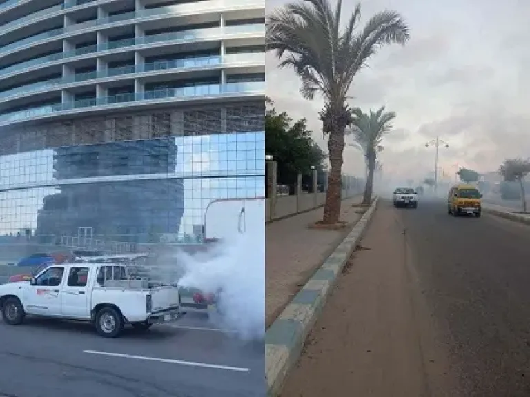 صحة مطروح تكثف حملات مكافحة الذباب والبعوض وناقلات الأمراض خلال عيد الأضحى