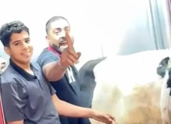 فيديو يثير الجدل.. عمال ينقلون عجلاً داخل أسانسير بأحد العقارات استعدادًا لعيد الأضحى