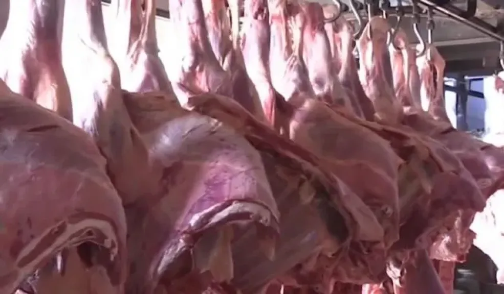 جهاز تنظيم إدارة المخلفات: نحو 200 ألف أضحية سنويا تُذبح خارج المجازر الرسمية.. وهذا لا نشجعه