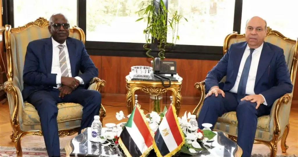 وزير الطيران يبحث مع وزير النقل السوداني تعزيز التعاون المشترك بين البلدين