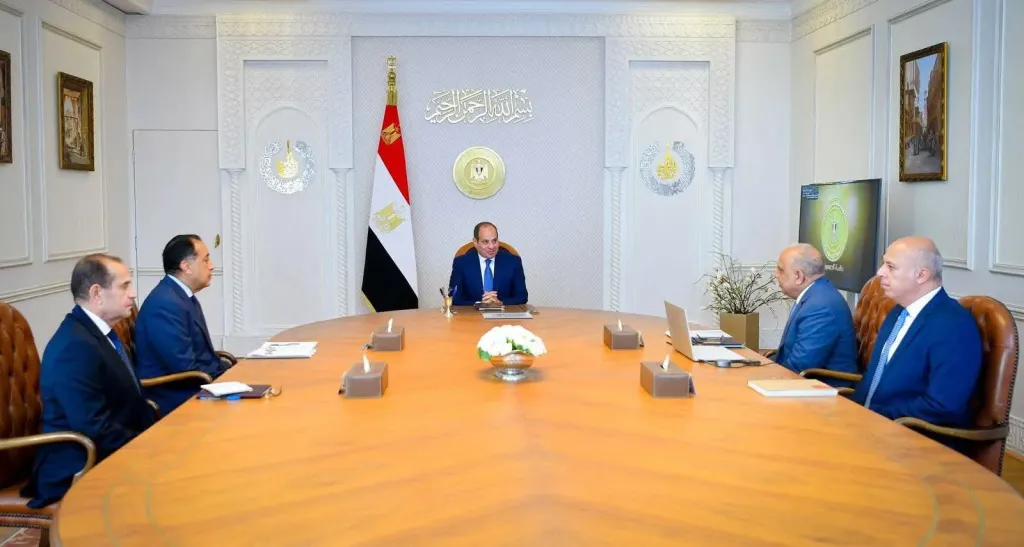 السيسي يؤكد ضرورة تحسين جودة التغذية الكهربائية ورفع كفاءة استخدام الوقود واستقرار الشبكة القومية