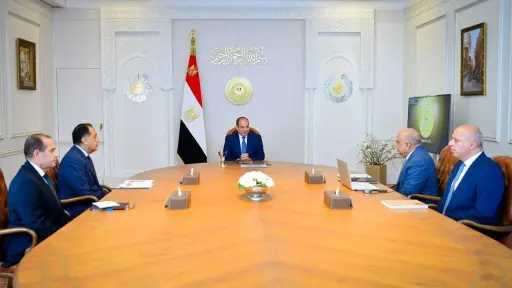 السيسي يؤكد ضرورة تحسين جودة التغذية الكهربائية ورفع كفاءة استخدام الوقود واستقرار الشبكة القومية