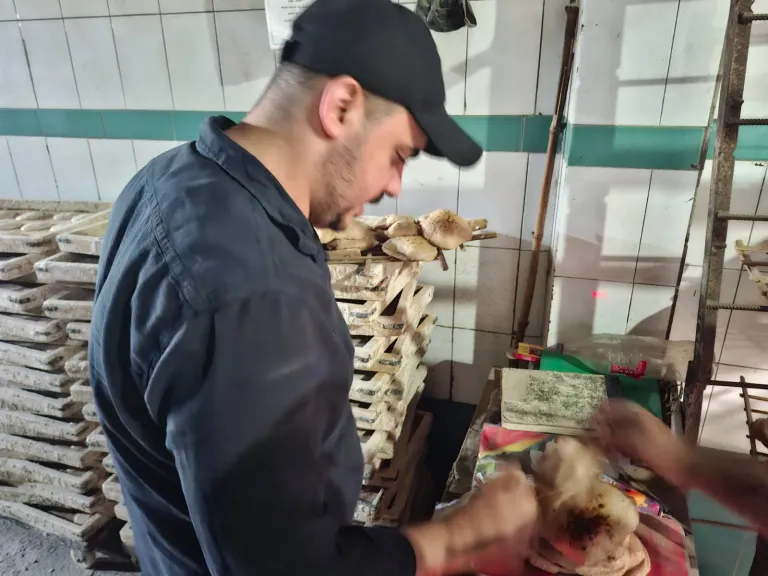 43 محضرًا خلال حملات رقابية مكثفة بقري ومدينة طنطا و كفر الزيات