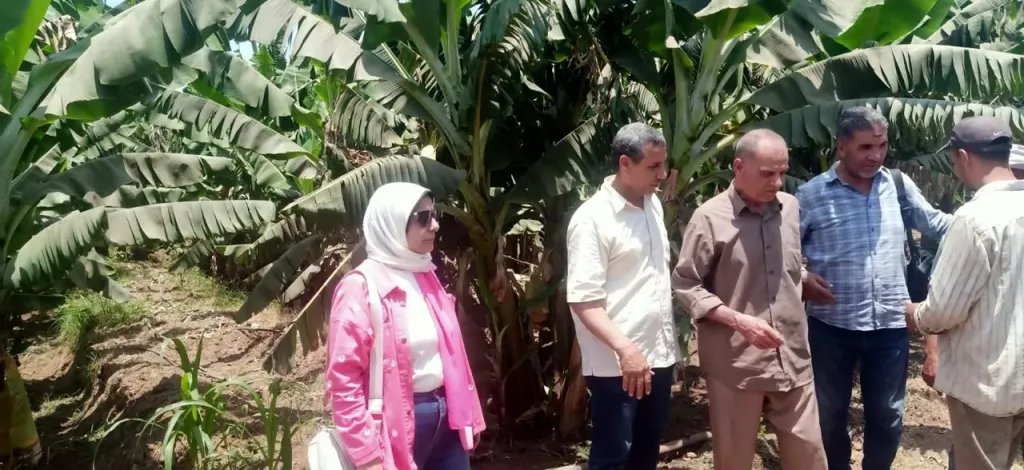 الزراعة: تنشر تقريرا بجهود وانشطة معاهد ومعامل ”البحوث الزراعية”   في الأسبوع الثالث من يونيو