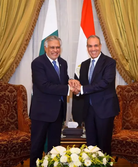 وزير الخارجية يستقبل نائب رئيس الوزراء ووزير خارجية باكستان