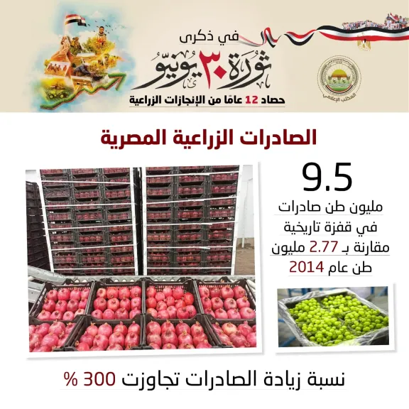الصادرات الزراعية تحقق طفرة قدرها 300% خلال عشر سنوات