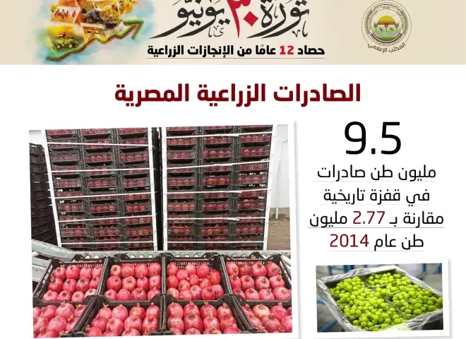 الصادرات الزراعية تحقق طفرة قدرها 300% خلال عشر سنوات