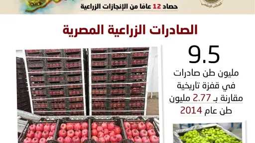 الصادرات الزراعية تحقق طفرة قدرها 300% خلال عشر سنوات