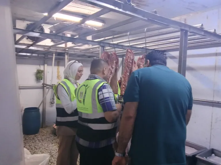 ضبط والتحفظ على أكثر من 29 طنًا من الأغذية واللحوم والدواجن الفاسدة ومجهولة المصدر خلال حملات رقابية بالاسكندرية