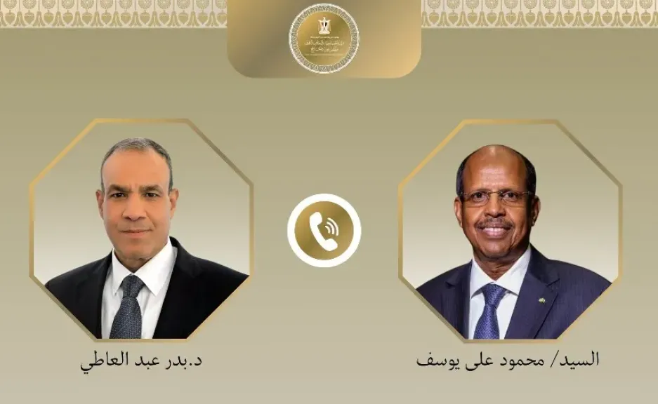 وزير الخارجية: الحفاظ على وحدة وسيادة دول المنطقة أولوية لمصر