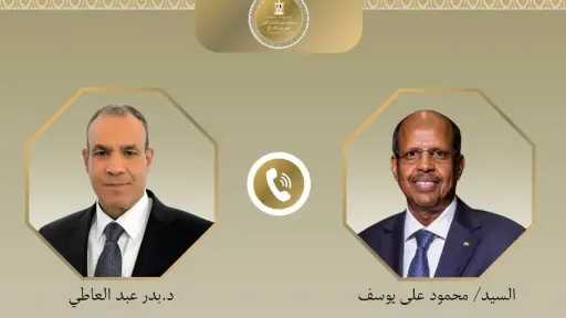 وزير الخارجية: الحفاظ على وحدة وسيادة دول المنطقة أولوية لمصر