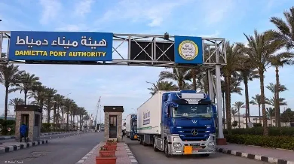 ميناء دمياط يستقبل 71 ألف طن غاز مسال