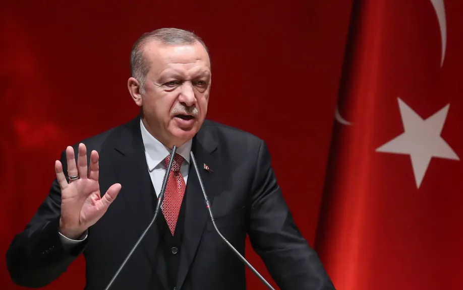 أردوغان: سنواصل العمل مع الدول الشقيقة لإرساء أمن واستقرار المنطقة