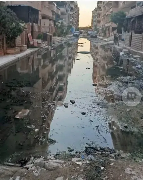 استجابة فورية لشكاوى المواطنين عبر مواقع التواصل الاجتماعي.. محافظة الإسكندرية تطهر شبكات الصرف الصحي بعدة مناطق