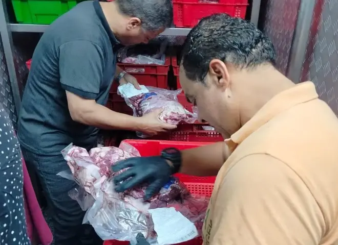 ضبط 756.5 كجم  و13 محضرًا خلال 48 ساعة.. في حملات الطب البيطري بالغربية