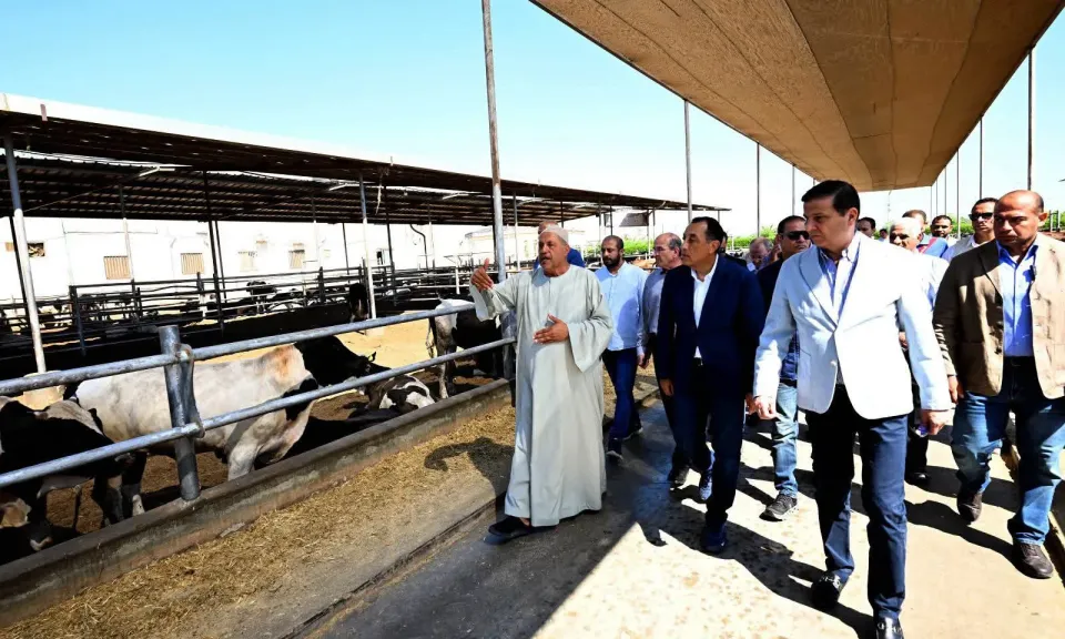 رئيس الوزراء يتفقد مزرعة ”العمار” لتنمية الثروة الحيوانية