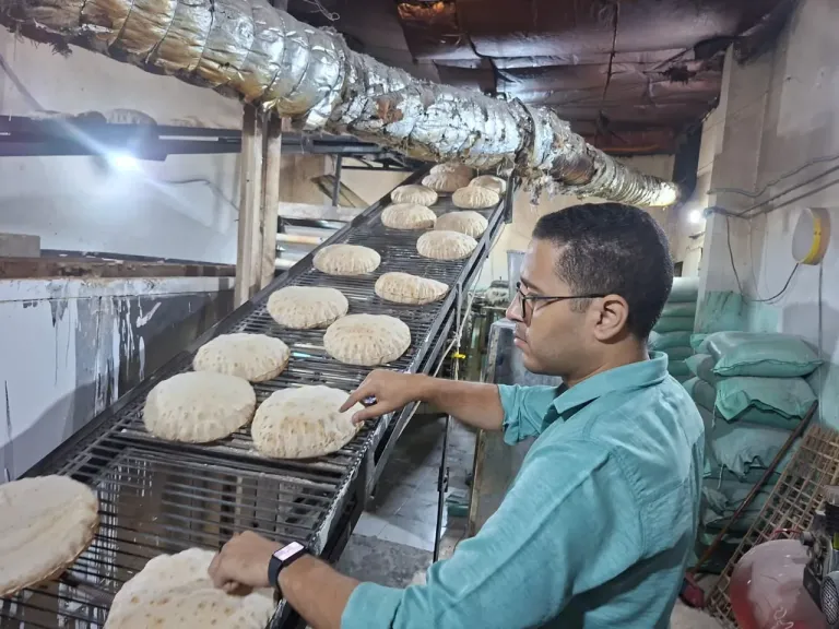 تموين الغربية يحرر 34 محضرًا خلال حملات  استهدفت مخابز المنشية الجديدة وسكة قطور وميدان الشيشتاوي بالمحلة