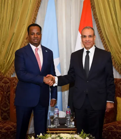 وزير الخارجية ونظيره الصومالي يبحثان سبل تعزيز العلاقات الثنائية وتطورات الأوضاع في منطقة القرن الأفريقي