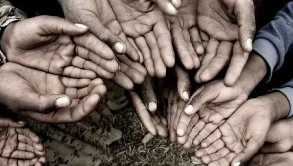 تقرير أممي: تراجع معدل الجوع عالميا.. ومخاطر المناخ والتجارة تهدد التقدم