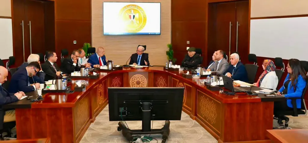 نائب رئيس الوزراء يبحث مع الاتحاد المصري للمستثمرين دعم الاستثمار وتعزيز دور القطاع الخاص