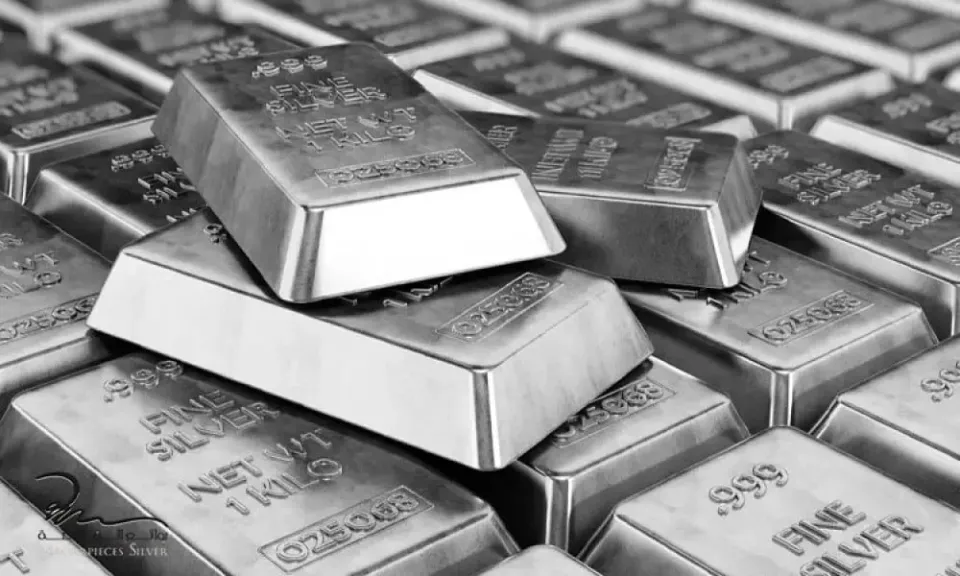 22 يوليو 2026.. الفضة تواصل التعافي محليا وعيار 999 يرتفع إلى 101 جنيه