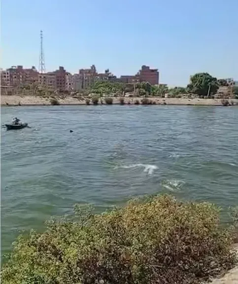 بعد مصرع طفلة بالقناطر الخيرية.. النائب سمير البيومي يطالب الحكومة بخطة عاجلة لوقف تكرار حوادث الغرق