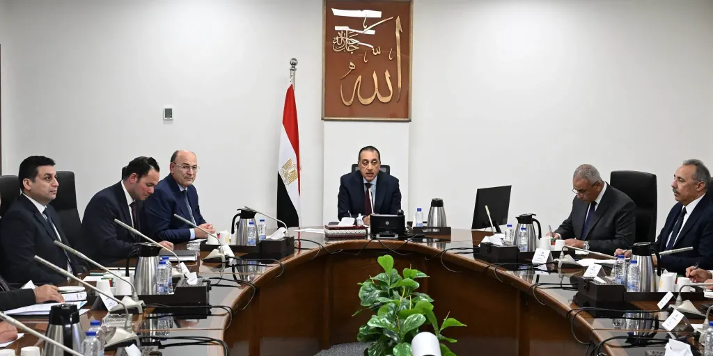 رئيس الوزراء يستعرض الرؤية المقترحة لتطوير زراعة وصناعة الكتان في مصر