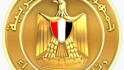 مجلس الوزراء يكشف أسباب حريق سفينتين في ميناء دمياط