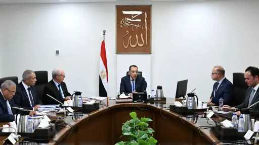 رئيس الوزراء يناقش مقترحات نقل ملكية عدد من الشركات القابضة وشركاتها التابعة من قطاع الأعمال العام