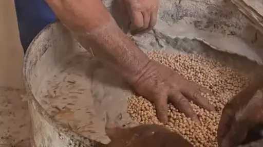 تحذير من استخدام الجير في تجهيز حمص حلاوة المولد.. ما خطورته؟