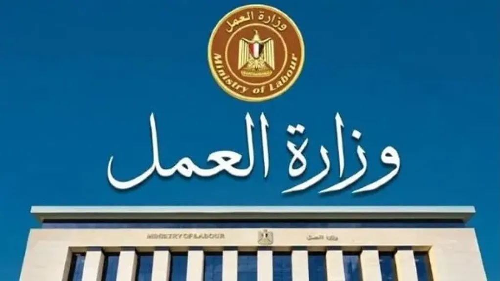 برواتب تصل لـ20 ألف جنيه.. «العمل» تعلن عن فرص عمل للخريجين