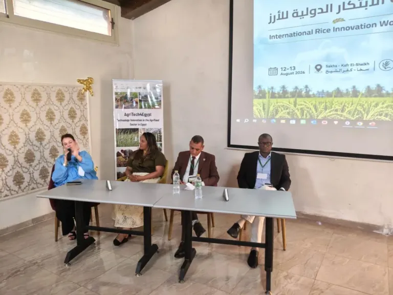 الزراعة: تستضيف ورشة العمل الدولية للابتكار في الأرز 2026 بمحطة البحوث الزراعية بسخا
