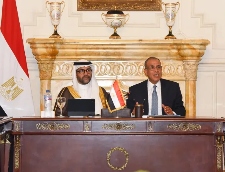 وزير الخارجية يبحث مع  ممثلي القطاع الخاص دعم توسع الشركات المصرية في أفريقيا