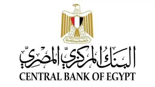 47.3 مليار دولار تحويلات المصـريين العاملين بالخارج خلال السنة المالية 2025/2026
