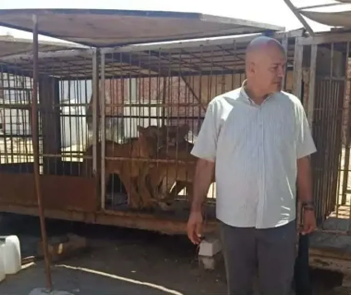 مرسى مطروح تشن حملة على السيرك وتحرر محاضر بيئية للمخالفين