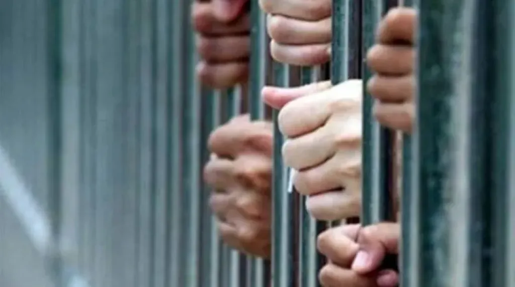 الحبس سنة و6 أشهر للمتهمين بالاعتداء على والدتهما بالضرب في السيدة زينب