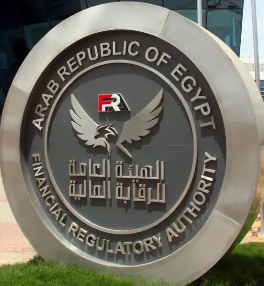 الرقابة المالية تصدر أول دليل شامل لقواعد وضوابط شركات التمويل الاستهلاكي