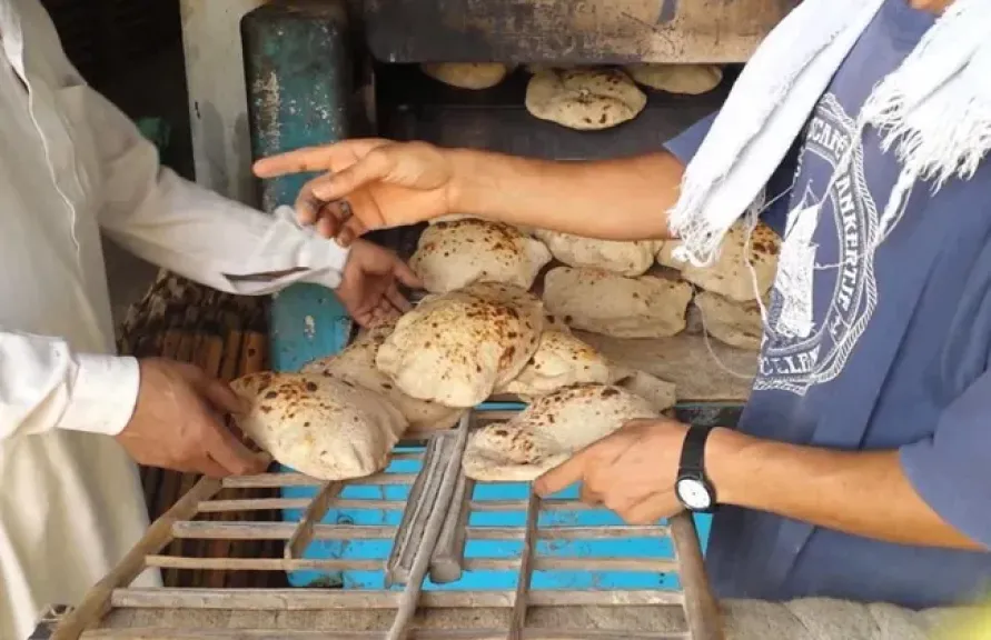 شن حملة مكبرة على المخابز والمحال التجارية بحي بولاق أبو العلا غرب القاهرة