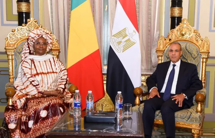 وزير الخارجية: نعتز بالعلاقات التاريخية والأخوية التي تجمعنا بمالي