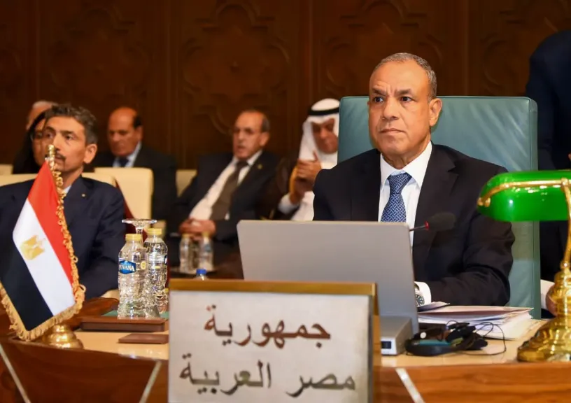 وزير الخارجية يؤكد أهمية تعزيز منظومة الأمن القومي العربي